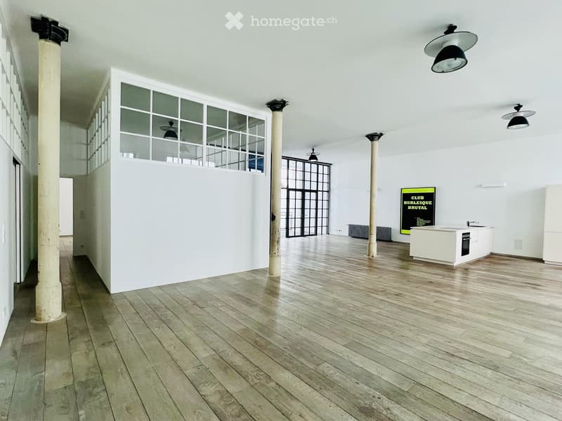 Provisionsfreie Loft Rarität im Herzen Wiens: Perfekt auch für Wohnen und Arbeiten (5)