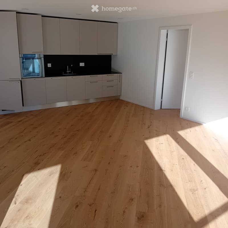 Empty room with light wooden flooring and modern grey cabinets, featuring a sink and oven area.