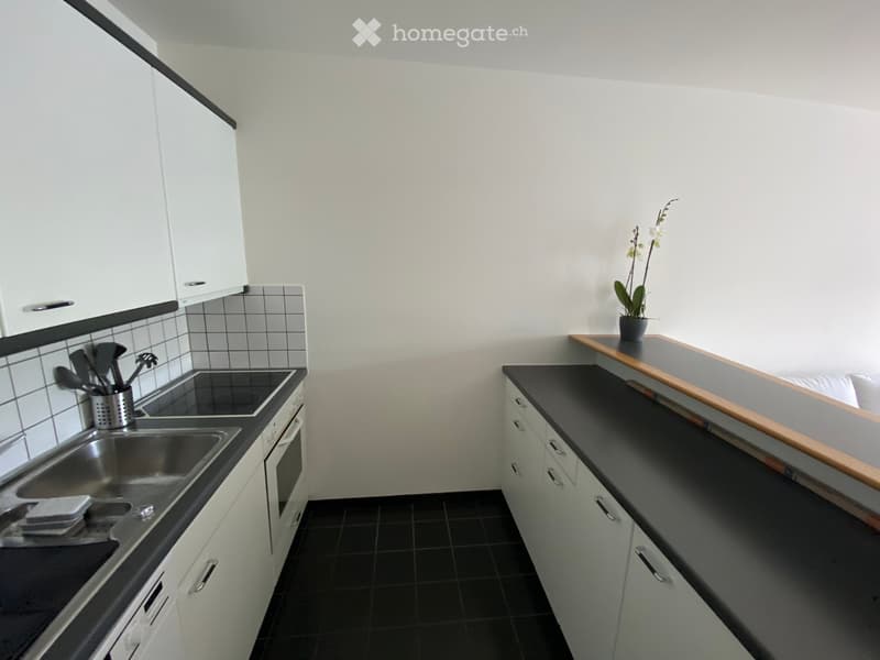 Modern kitchen with white cabinets, black countertops, stainless steel sink, and built-in oven. Includes a small potted plant on the counter.