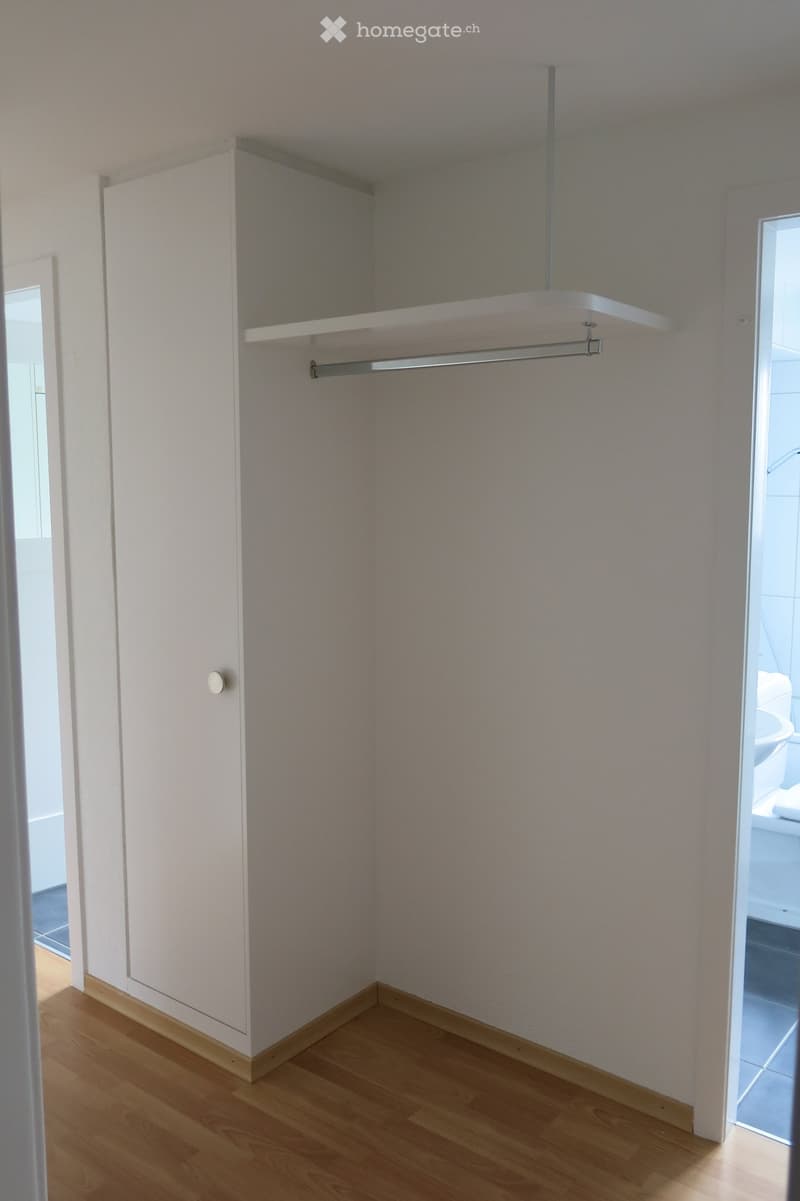 Empty closet with wooden floor, white walls, built-in cabinet, and a shelf with a clothes rod.