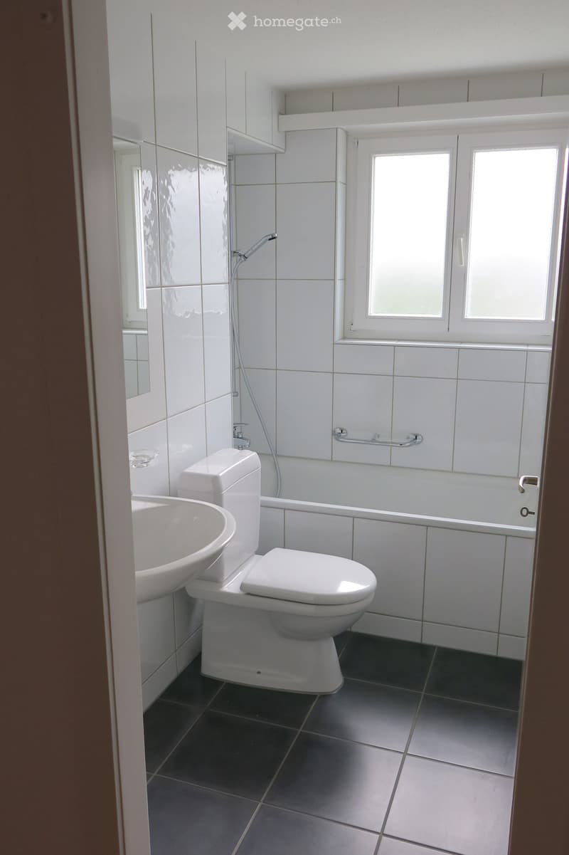 Modern bathroom with white tiles, a toilet, sink, bathtub, and a large mirror above the sink. The room has dark tiled flooring and a window providing natural light.