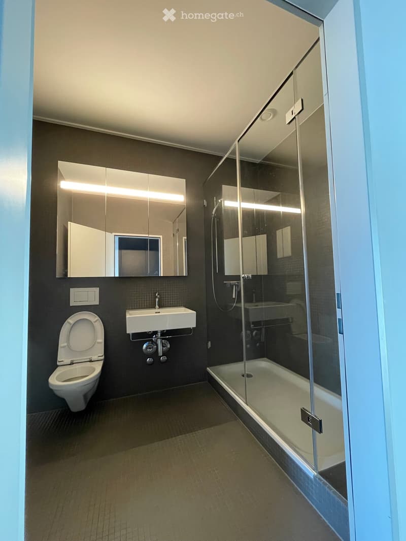 Modern bathroom with dark walls, a white toilet, a sink, a large mirror, and a glass-enclosed shower area.