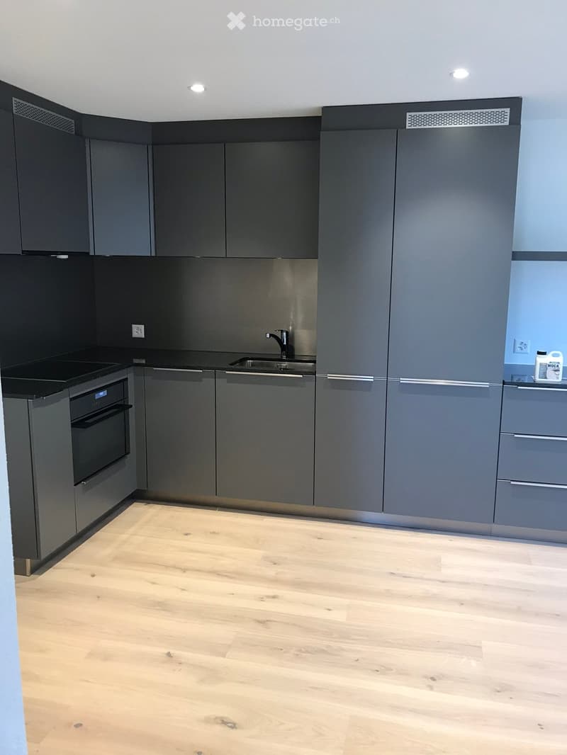 Modern kitchen with grey cabinets, wooden floor, built-in oven, sink, and faucet.