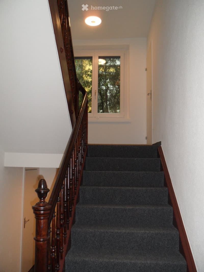 Staircase with wooden handrail and carpeted steps, leading to a landing with a window and doors.