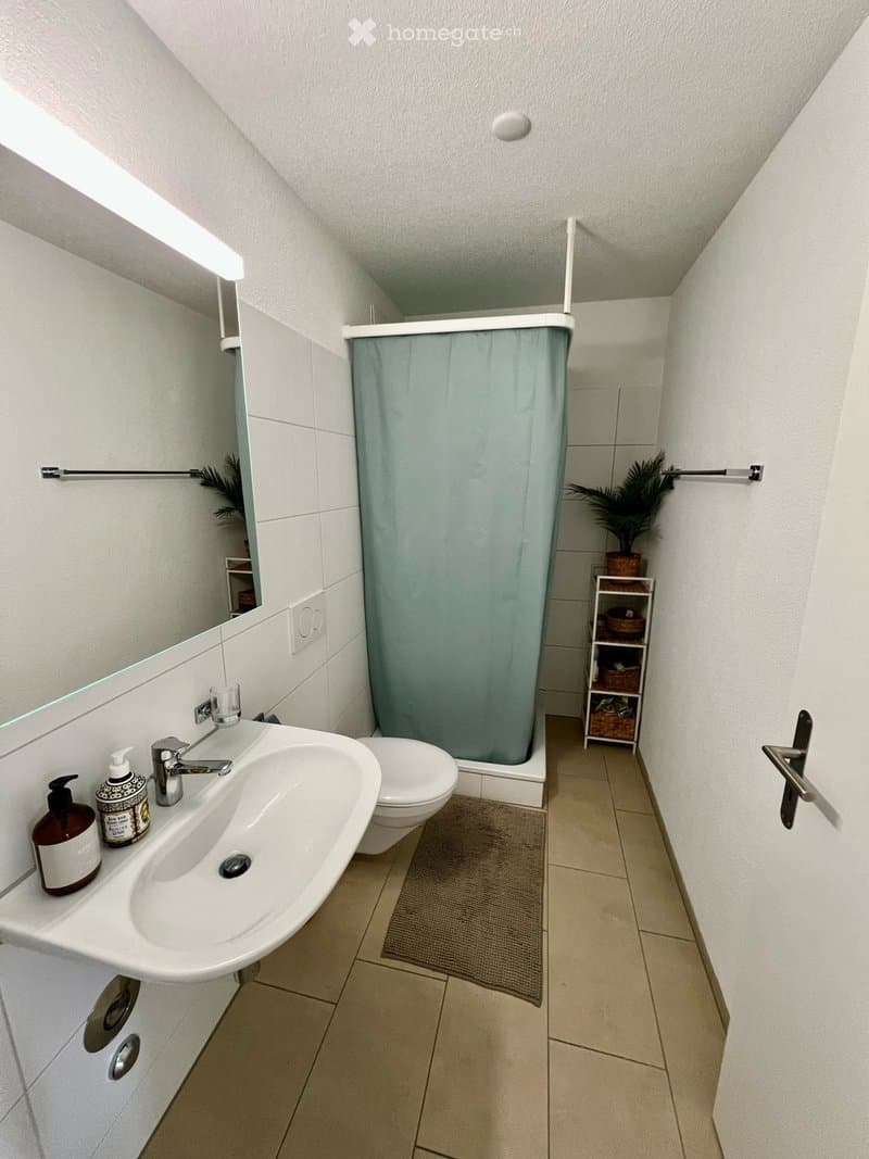 Modern bathroom with a white sink, chrome faucet, toilet, shower curtain, mirror, towel rack, small plant, and shelf with baskets.
