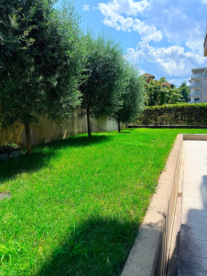 Well-maintained garden with green grass, olive tree, concrete pathway, and surrounding buildings.