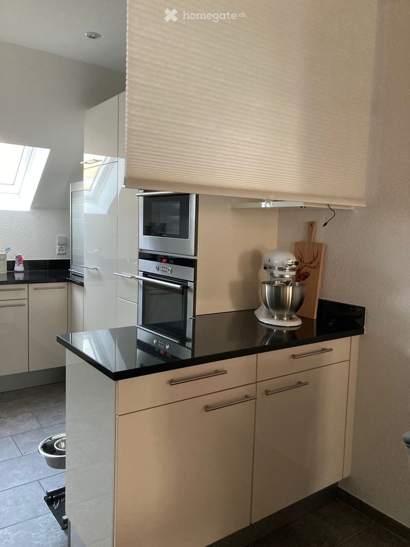 Modern kitchen with light-colored cabinets, black countertops, and stainless steel appliances including an oven and mixer. Features a skylight window and a pet bowl on the floor.