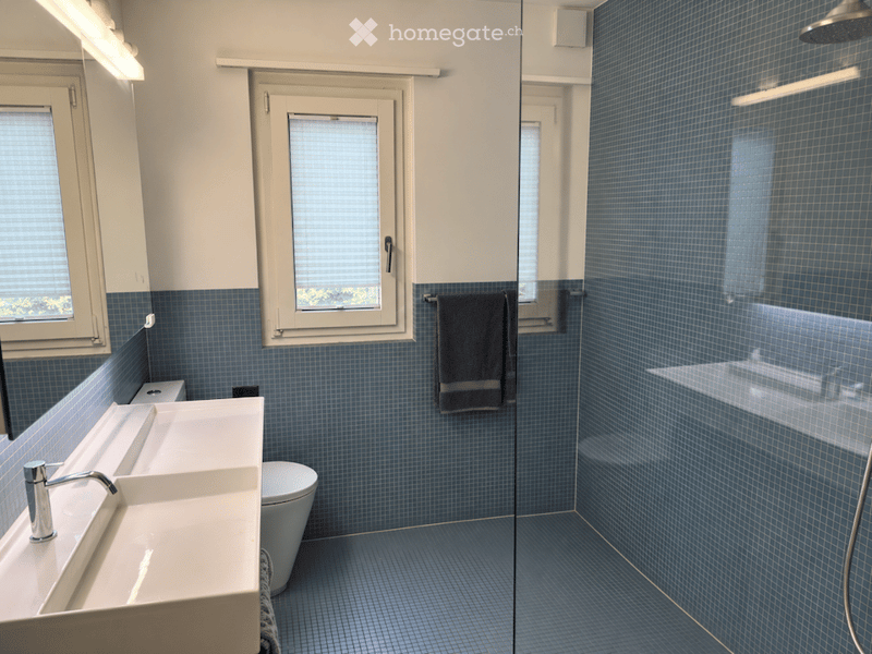 Modern bathroom with blue tiles, double sink, toilet, and a glass-enclosed shower area.