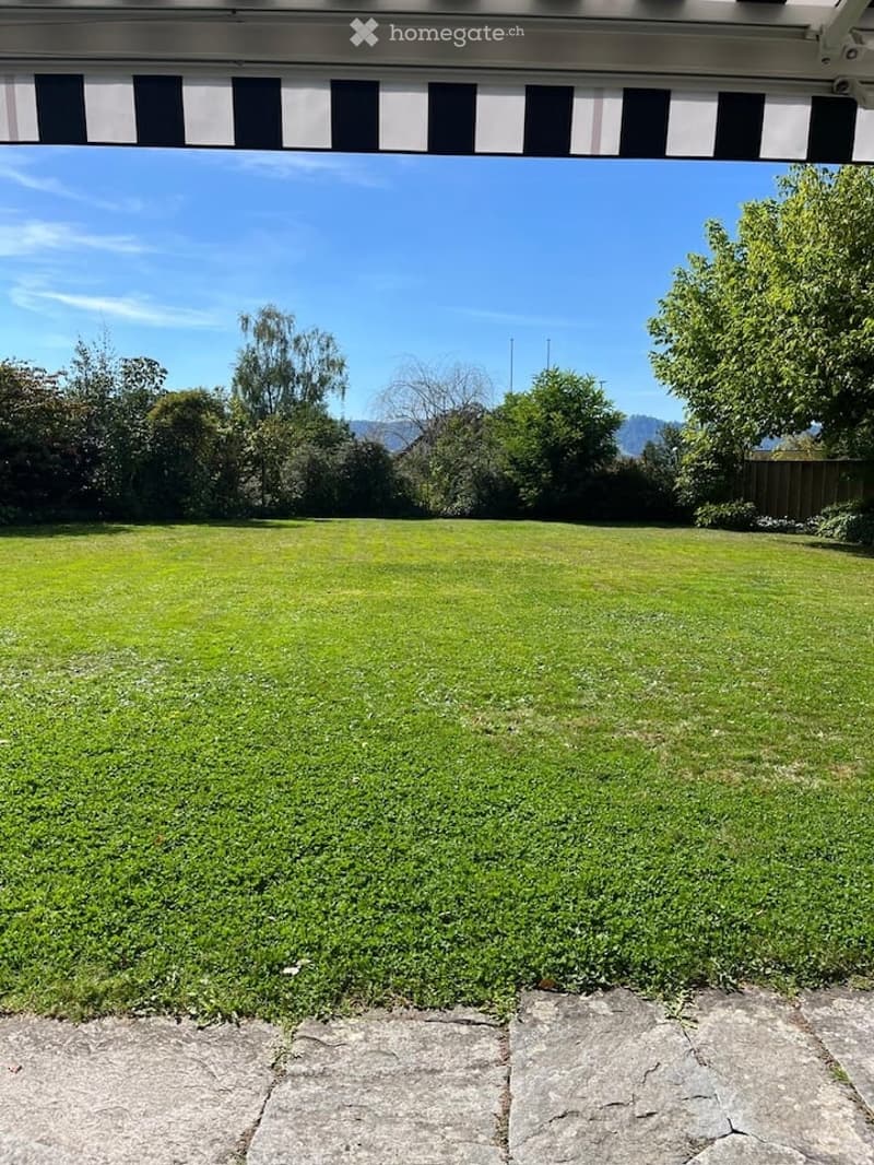 Well-maintained lawn with a stone pathway leading to a covered patio area, surrounded by trees and shrubs under a clear blue sky.