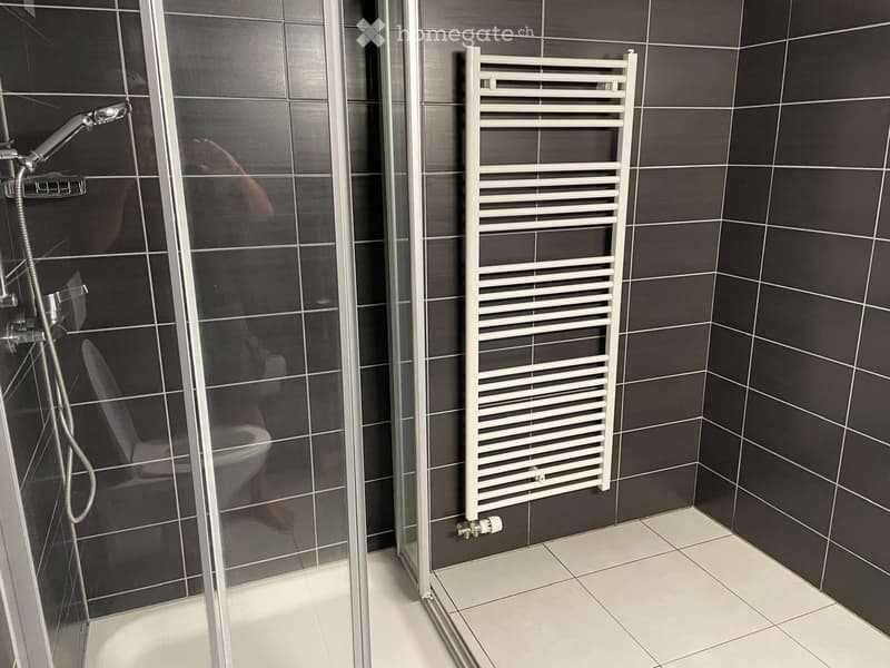 Modern bathroom with dark tiled walls, white tiled floor, glass-enclosed shower, toilet, and a white radiator.