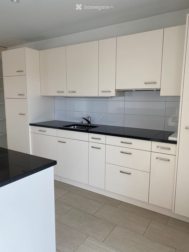 Modern kitchen with white cabinets, black countertops, and a stainless steel sink.
