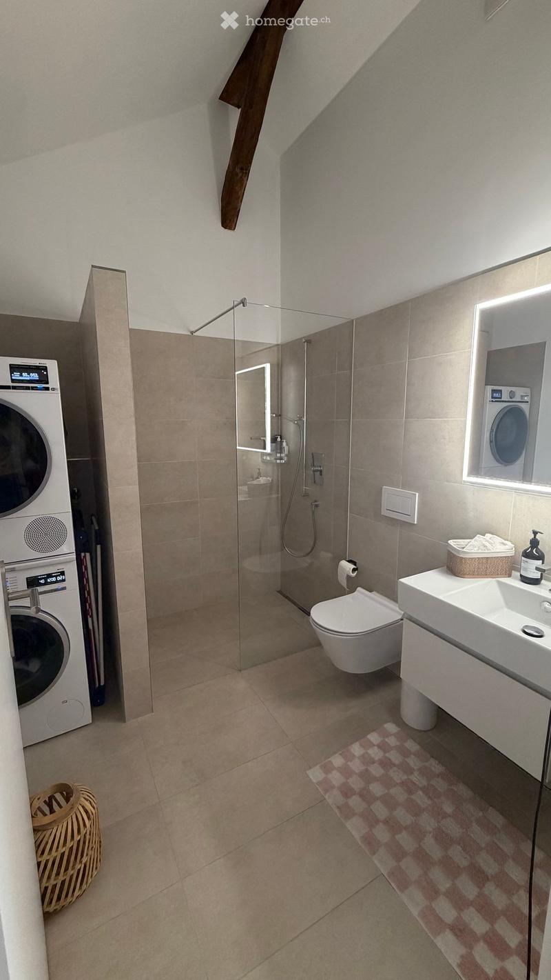 Modern bathroom with a toilet, sink, shower, and washing machine. Features include a wicker basket, a bathroom rug, and a mirror with built-in lighting.