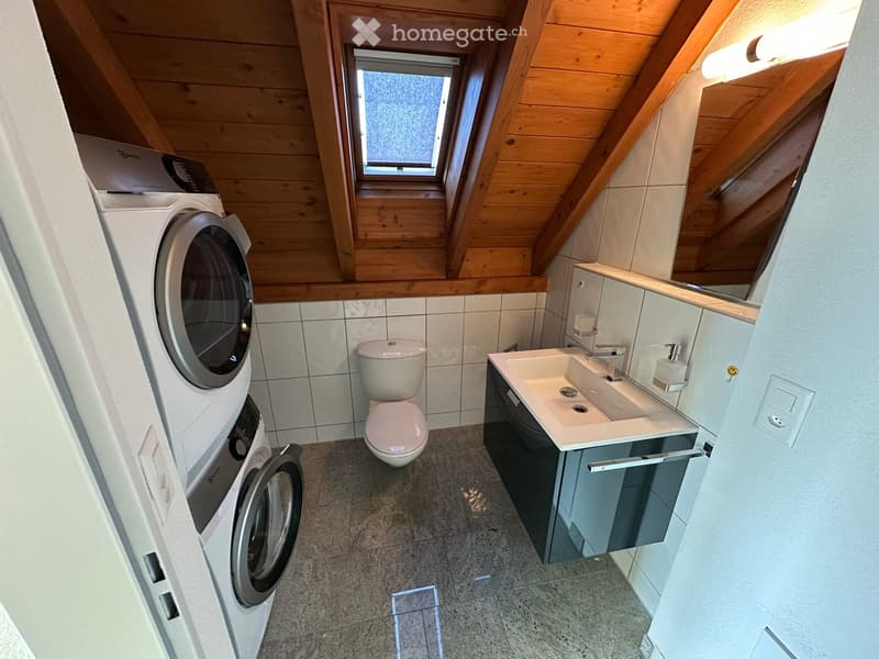 Modern bathroom with a sink, toilet, washing machine, and a skylight window. The room features wooden ceiling beams and tiled walls.