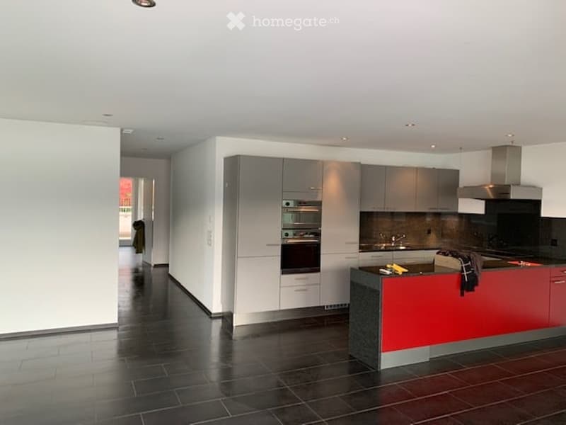 Modern kitchen with sleek grey cabinets, stainless steel appliances, and a red island. Features include an oven, stove, sink, and ample storage space.