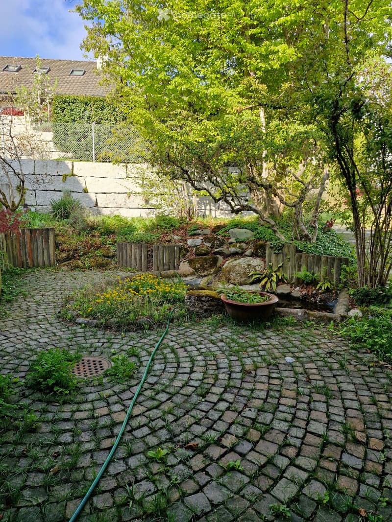 Garden with cobblestone pathway, wooden fence, potted plant, and lush greenery including trees and shrubs.