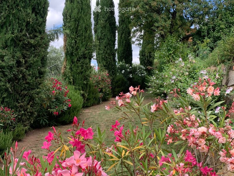 A well-maintained garden with a variety of flowering plants, shrubs, and tall, slender trees lining a pathway.