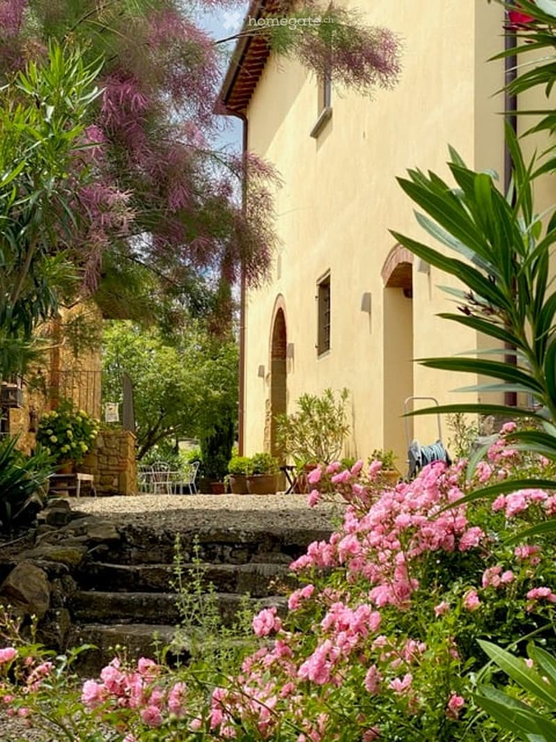 A sunny garden area with a stone pathway leading to a yellow house. The garden is filled with lush greenery, including flowering shrubs and climbing vines, creating a serene and inviting atmosphere.