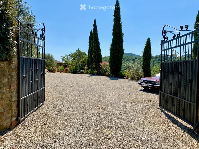 Gravel driveway with ornate metal gates, surrounded by tall cypress trees and lush greenery, with a classic car parked on the right.