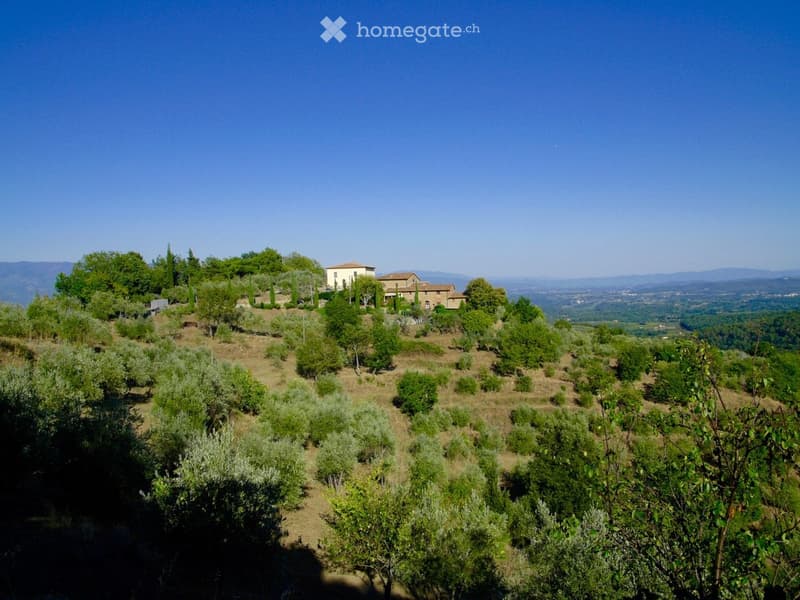 A scenic view of a countryside estate with olive trees, a stone house, and rolling hills in the background.