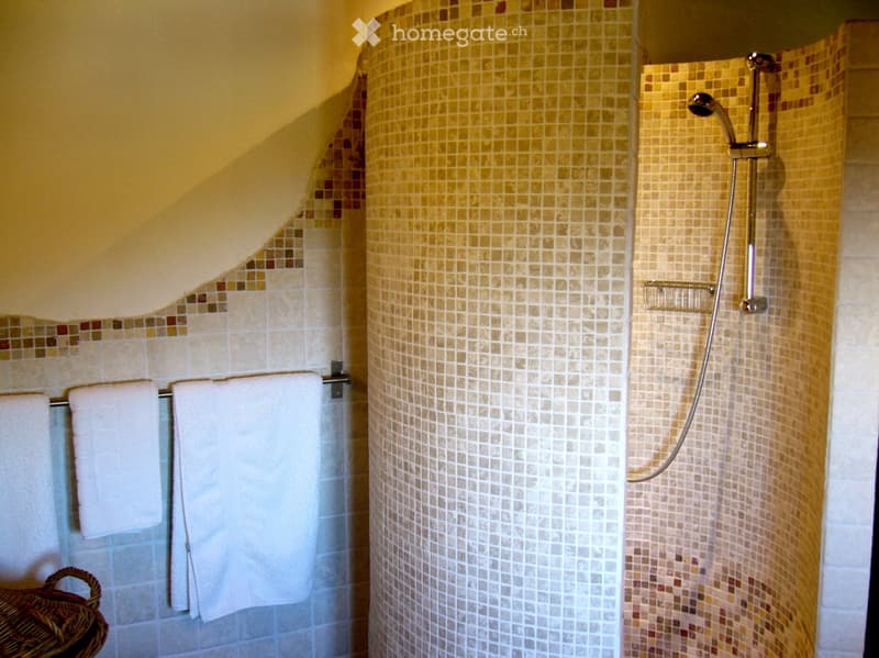 Modern bathroom with a walk-in shower, tiled walls, towel rack with white towels, and a handheld showerhead.