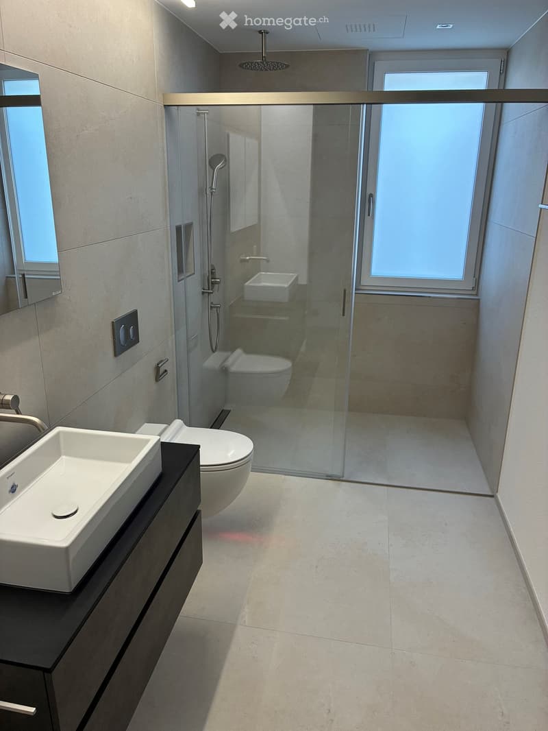 Modern bathroom with a large sink, toilet, glass-enclosed shower, and a sleek design with light-colored tiles and fixtures.