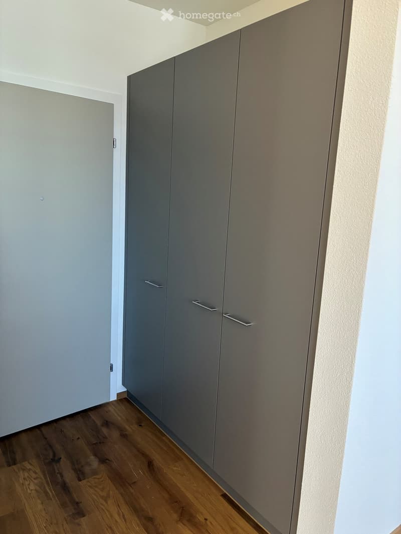 A narrow hallway with wooden flooring, grey built-in wardrobes, and a white door leading to another room.