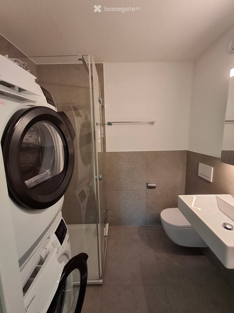 Modern bathroom with a washing machine, toilet, and sink, featuring a glass shower enclosure and tiled walls.