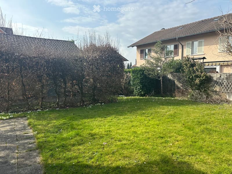 Lush green lawn with a concrete pathway leading to a house, surrounded by trees and shrubs.