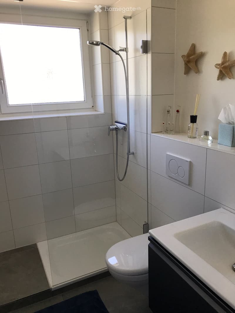 Modern bathroom with a white tiled shower area, a toilet, a sink, and decorative items on the counter.