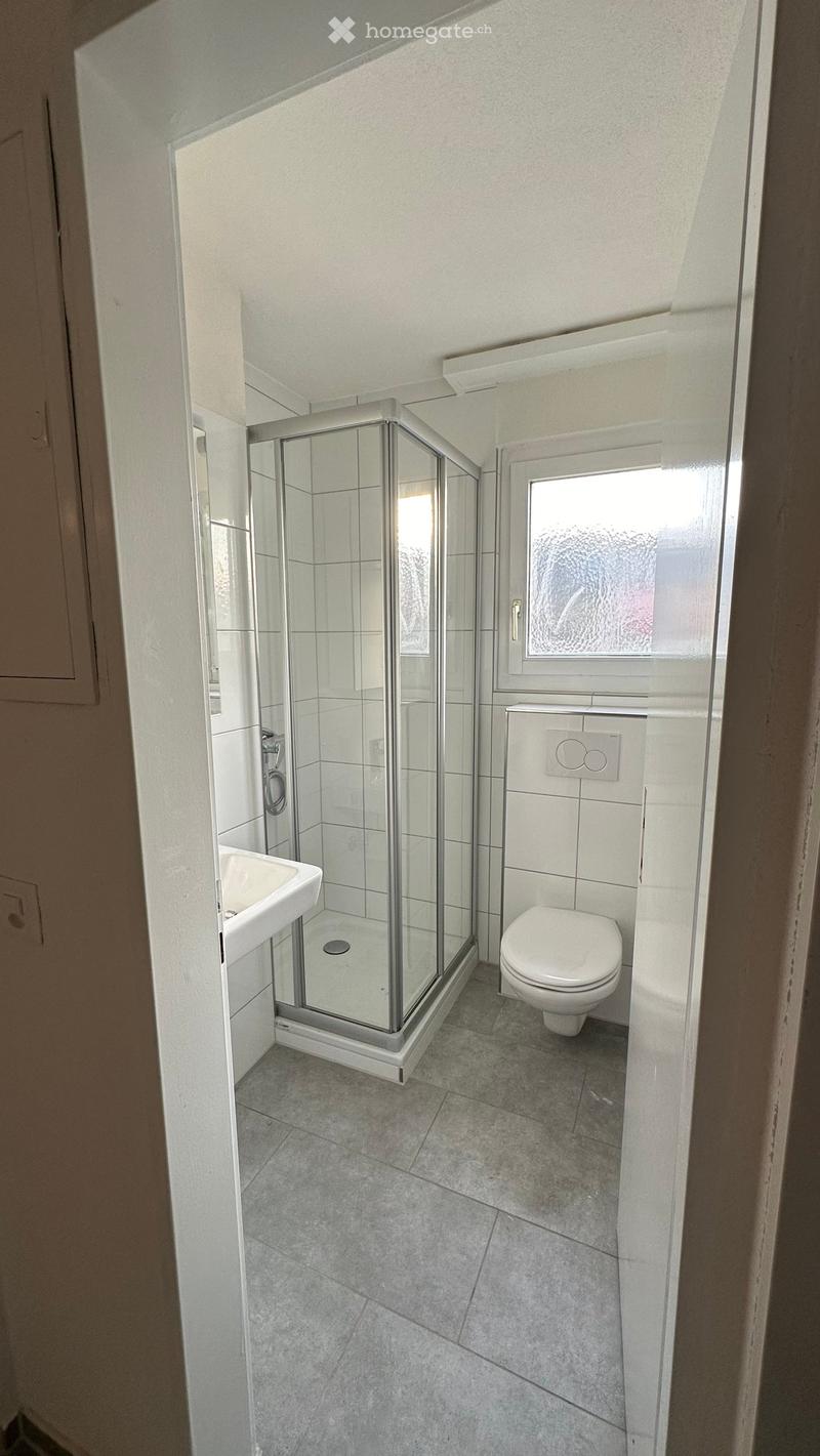 Modern bathroom with a glass-enclosed shower, toilet, and sink. The space features tiled walls and a window providing natural light.