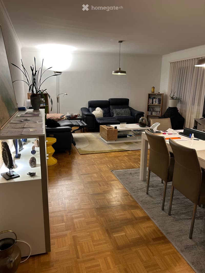 A modern living room with wooden flooring, a black leather sofa, a coffee table, a dining table with chairs, a bookshelf, and decorative plants.