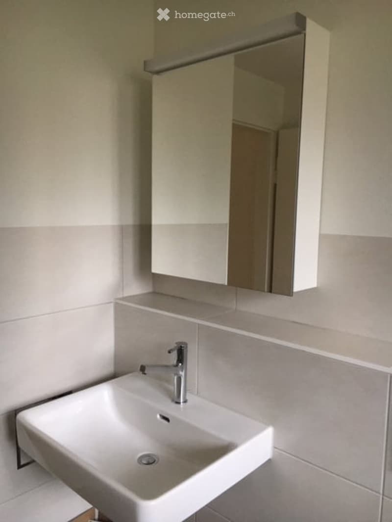 Modern bathroom with a white sink, chrome faucet, and a mirrored cabinet above it.