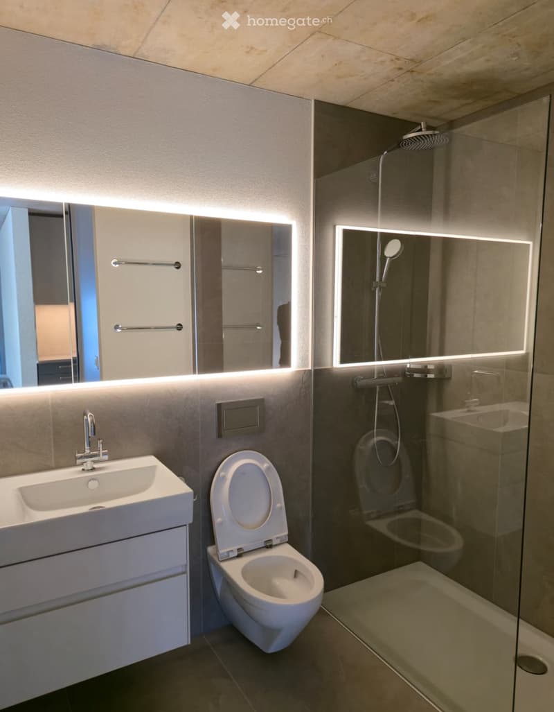 modern bathroom with white fixtures, large mirror, glass shower enclosure, white toilet, white sink with cabinet