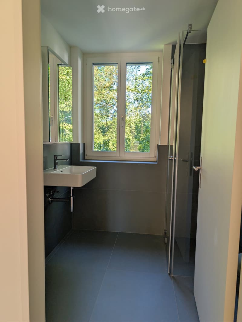 Modern bathroom with dark grey tiles, white sink, chrome faucet, large window with view of greenery, and glass shower enclosure.