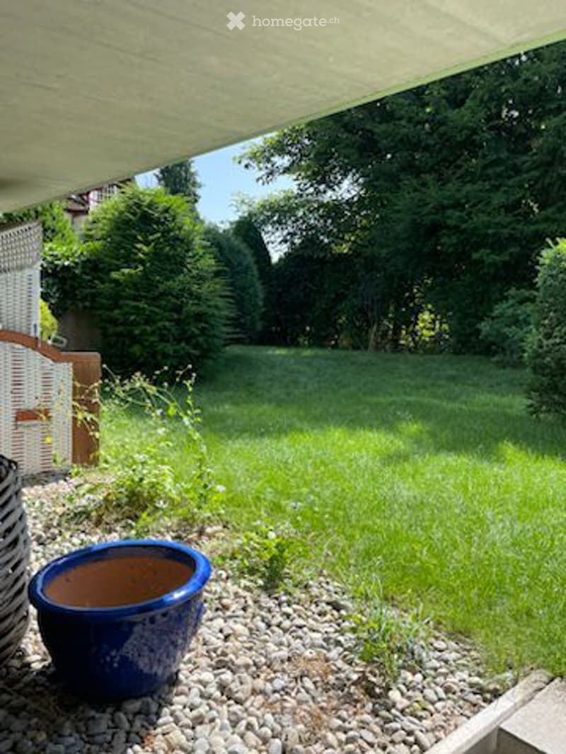 garden with green grass, trees, shrubs, pebble pathway, blue potted plant