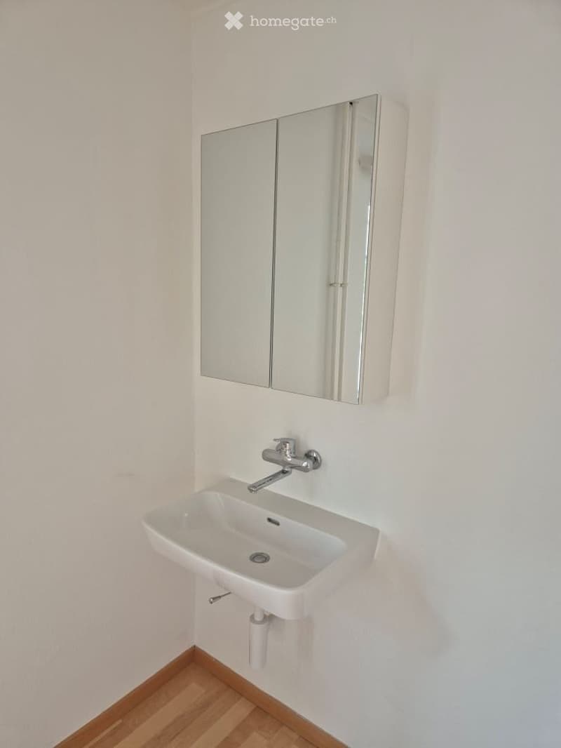 Modern bathroom with a white sink, chrome faucet, and mirrored cabinet.
