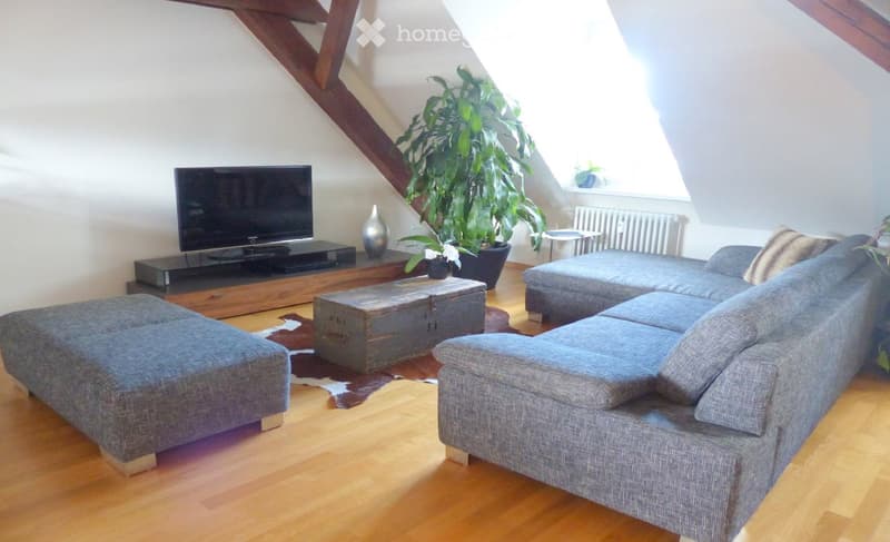 Modern living room with wooden flooring, grey sectional sofa, coffee table, television, and decorative plants.
