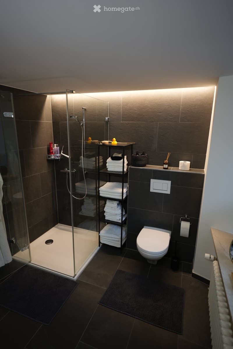 Modern bathroom with a glass-enclosed shower, toilet, towel rack, and neatly stacked towels. The space features dark tiles and a sleek design.