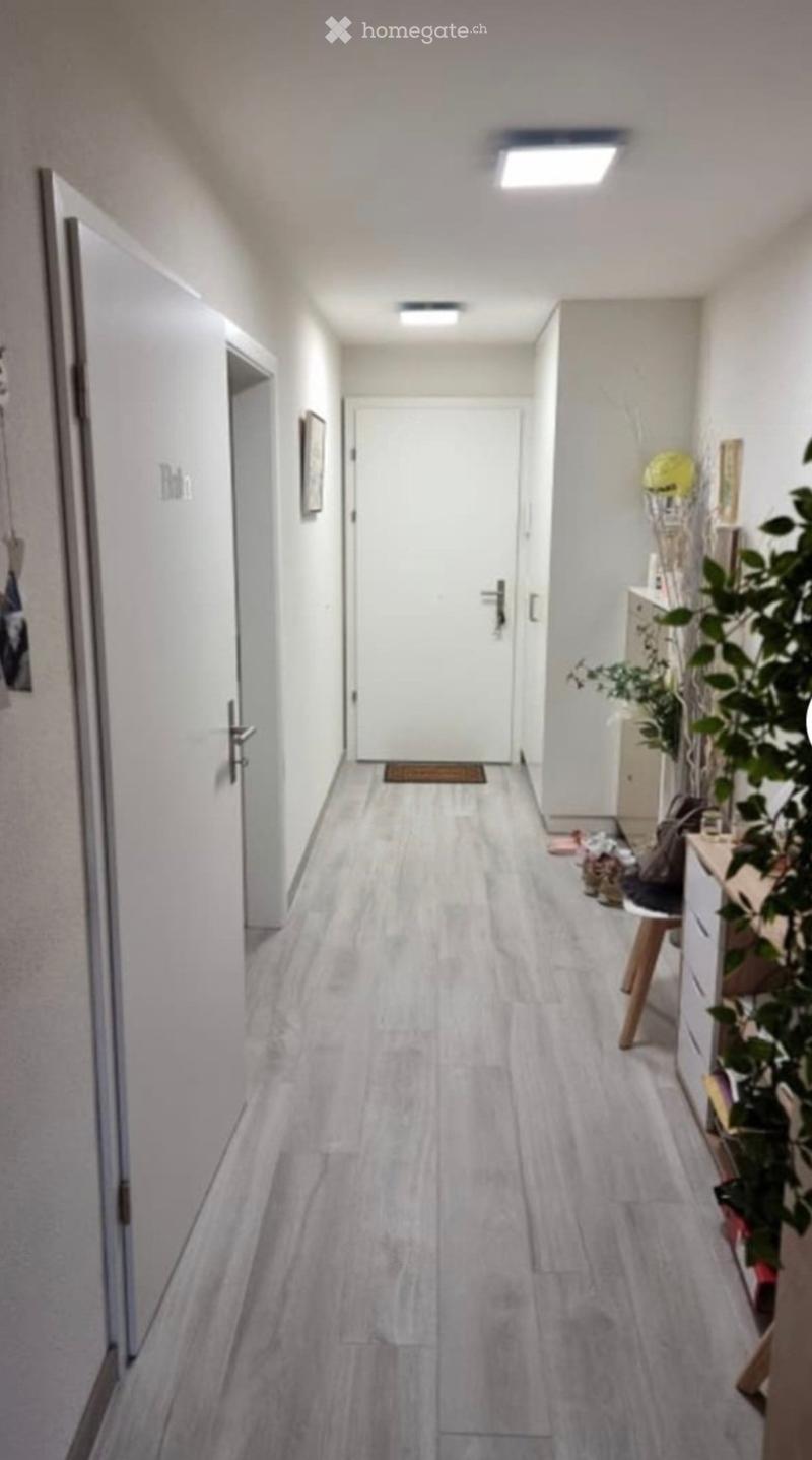 A clean, modern hallway with light grey wooden flooring, white walls, and recessed ceiling lighting. Features include a small doormat, a framed picture on the wall, and a small plant in a pot near the end of the corridor.