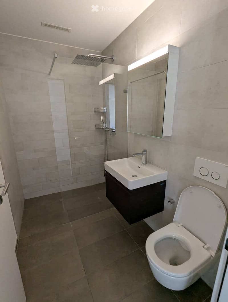 Modern bathroom with a white sink, toilet, large mirror, and glass-enclosed shower area.