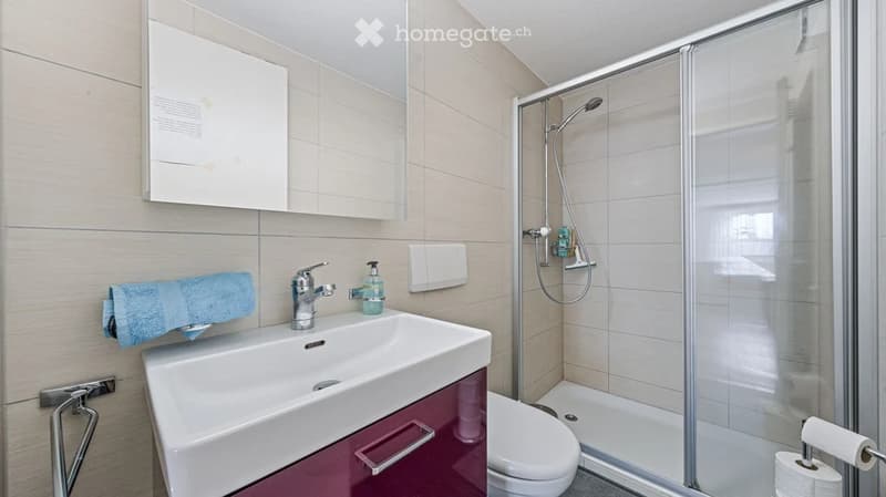 Modern bathroom with a white sink, chrome faucet, mirrored cabinet, and a glass-enclosed shower. A blue towel is draped over the sink, and a soap dispenser is visible.