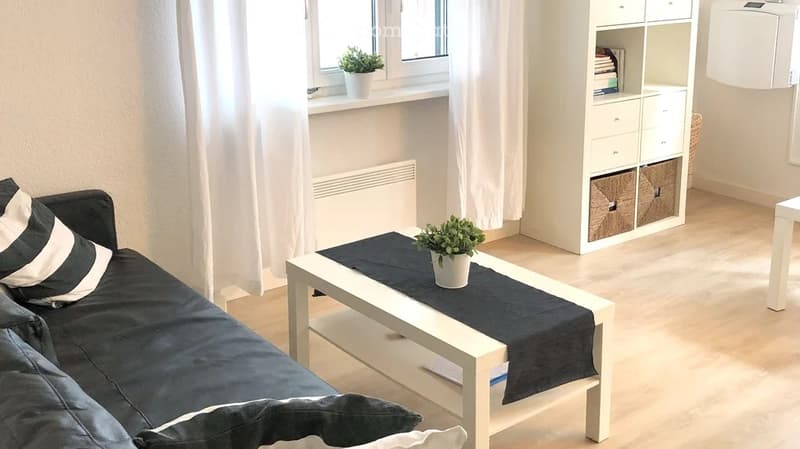 Modern living room with a grey sofa, white coffee table, bookshelf, and small potted plants on the windowsill and coffee table.