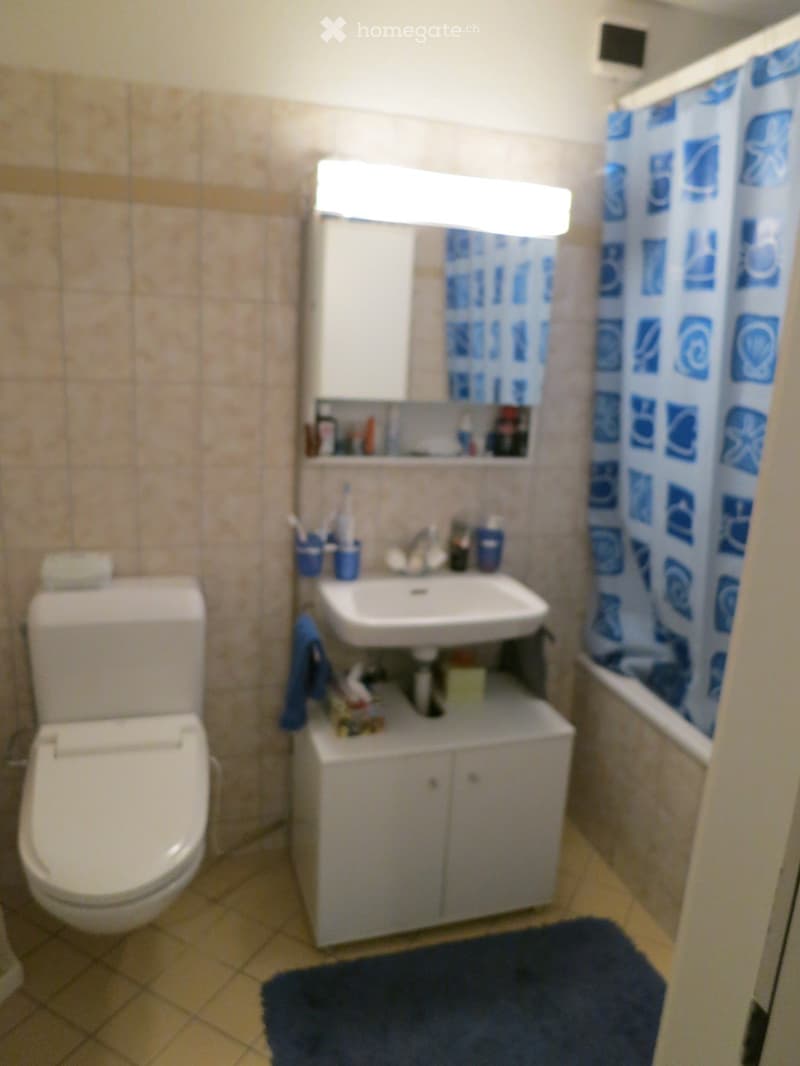 A small bathroom with a toilet, sink, mirror, and cabinet. The sink has a faucet and toothbrush holders, and there is a blue bathrobe and rug on the floor.