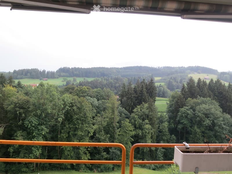 Balcony with orange railing, overlooking a lush green forest and countryside landscape.