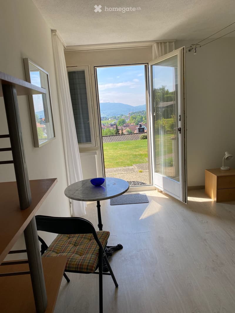 Bright room with wooden flooring, large windows, and a scenic view of a green landscape and mountains. Contains a round table with a bowl, a plaid chair, a wooden cabinet with a lamp, and a small rug near the sliding glass door.