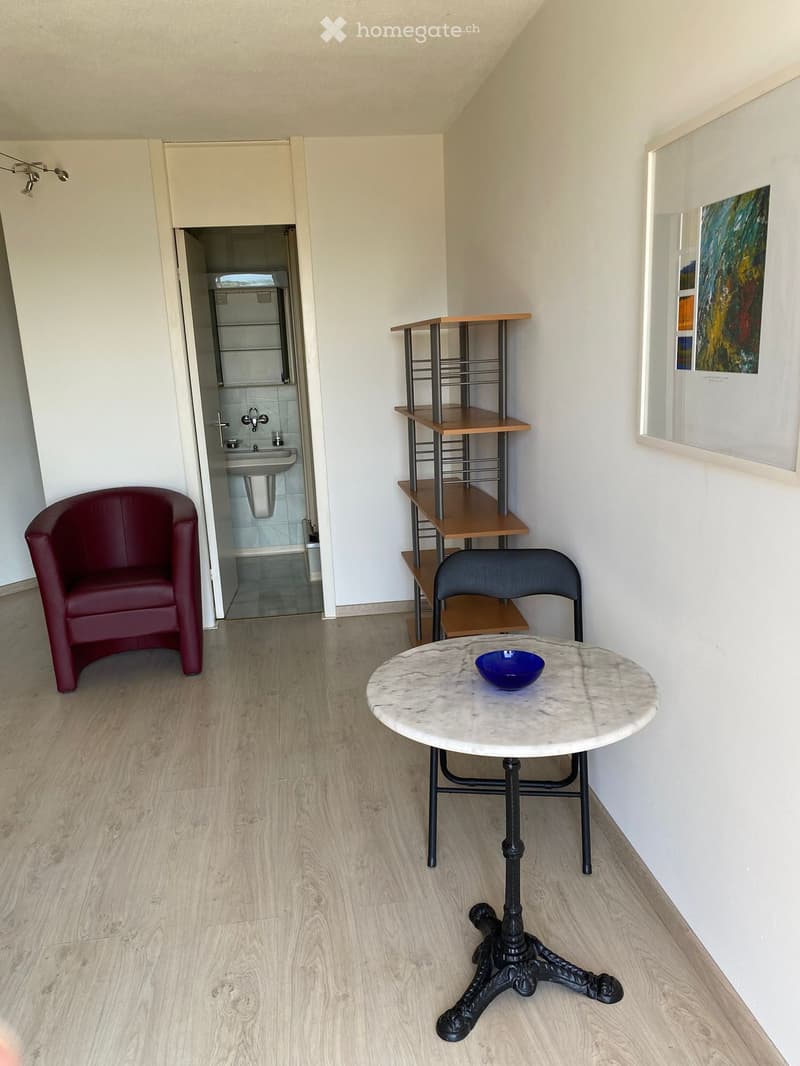 A small, modern room with light wooden flooring, a red leather chair, a round marble table with a blue bowl, a metal shelf unit, and an open doorway leading to a small bathroom with a sink and toilet.