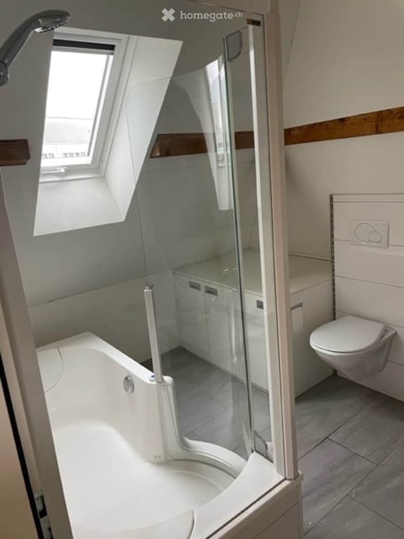 Modern bathroom with a white bathtub, a glass-enclosed shower stall, and a toilet. The space features a skylight window and tiled flooring.