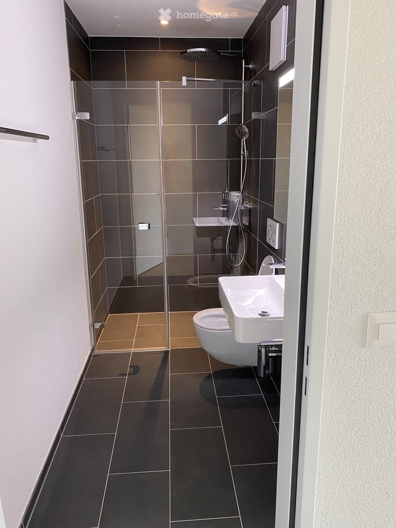 Modern bathroom with dark tiled walls and floor, glass-enclosed shower, toilet, and sink.