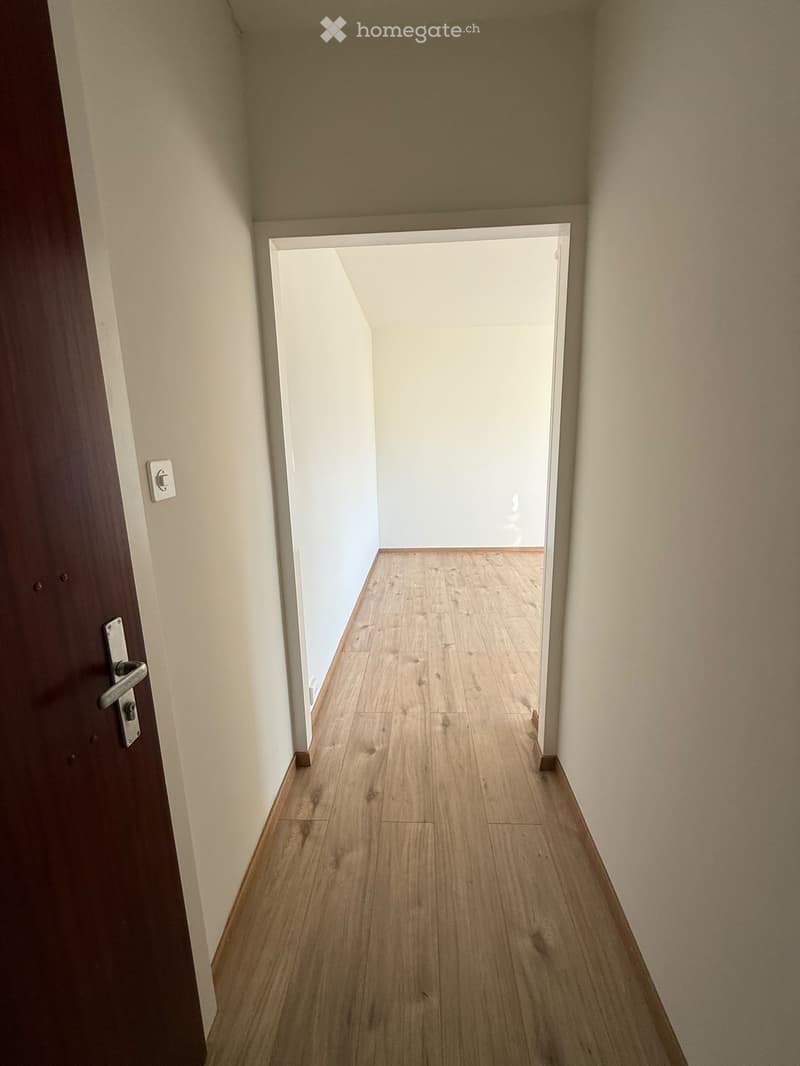 Empty hallway with wooden flooring, light-colored walls, and a closed door on the left side.