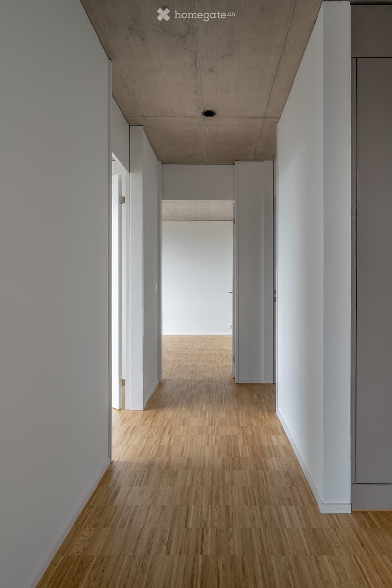 modern design, light colored walls, wooden floor, open space